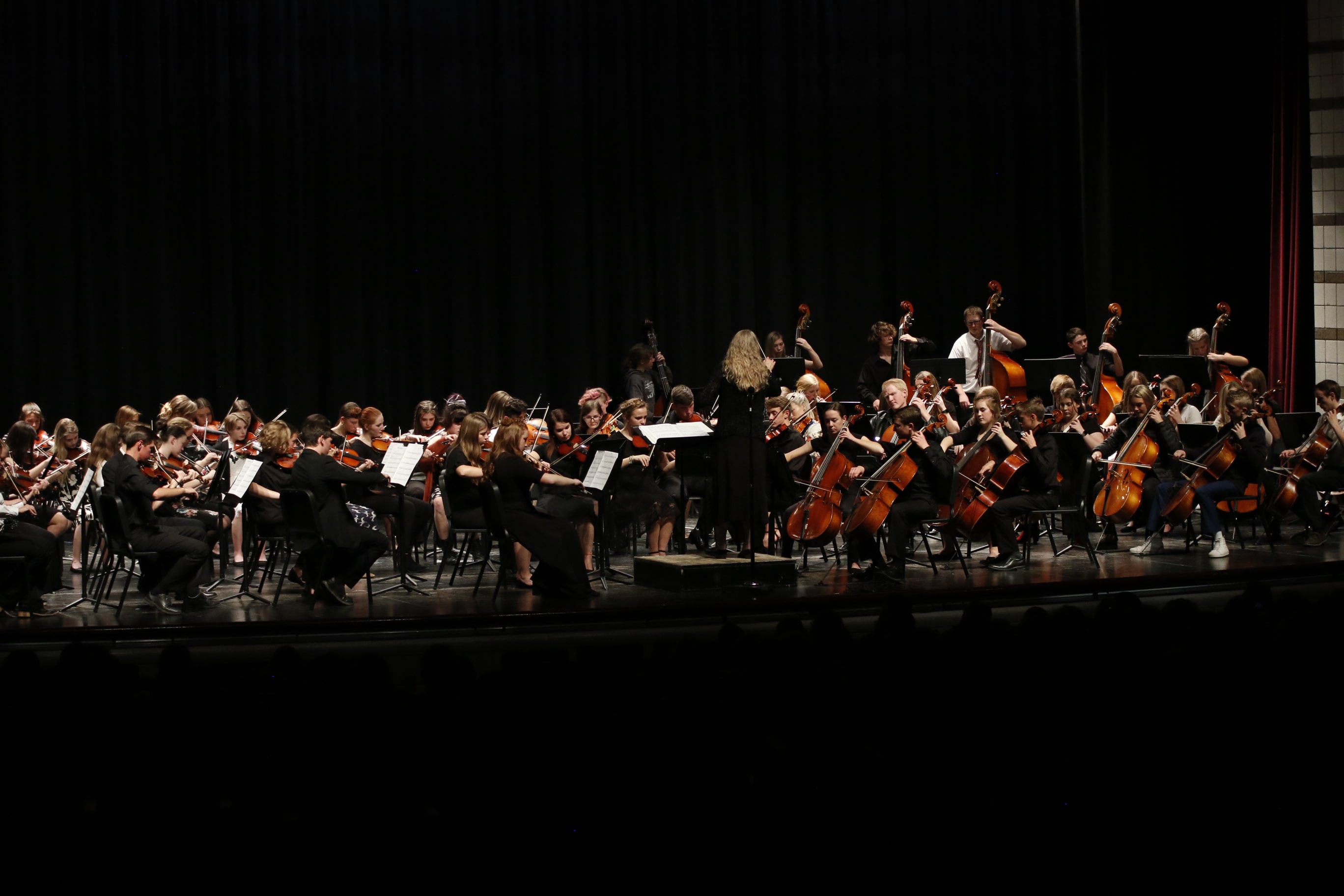 SVHS Orchestra 2020